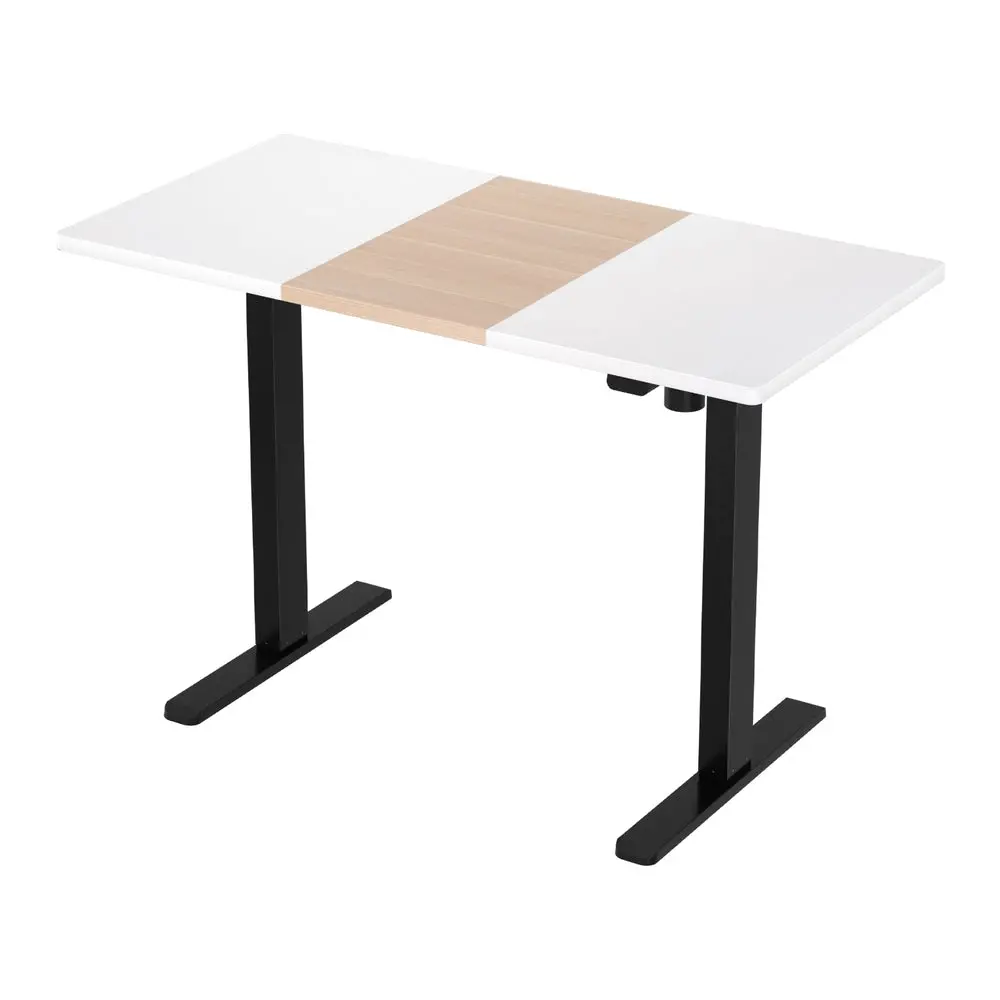 Artiss Motorised Standing Desk Sit Stand Desks 120Cm 1