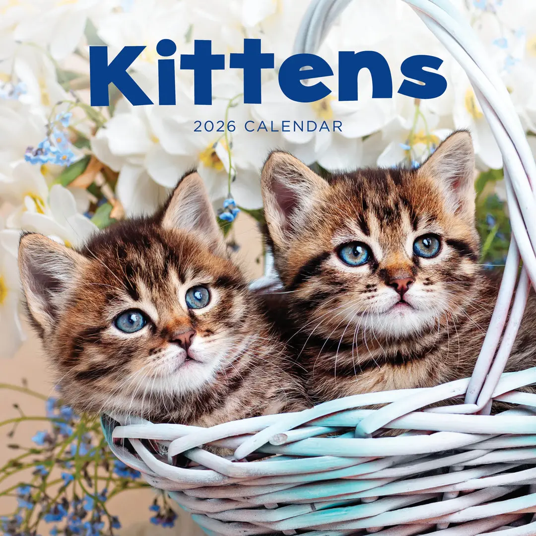 Paper Pocket Kittens 2026 Calendar 1