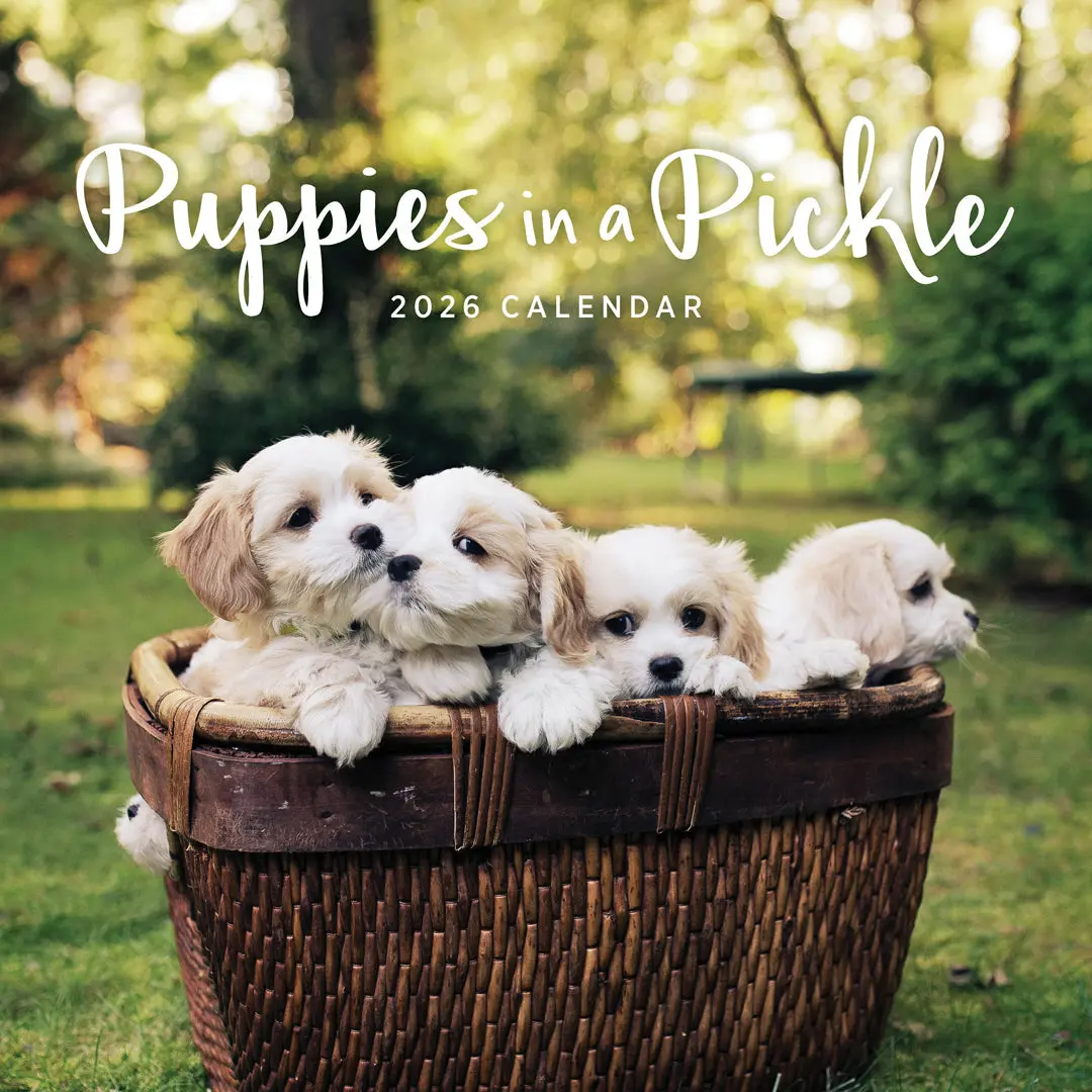 Paper Pocket Puppies In A Pickle 2026 Calendar 1