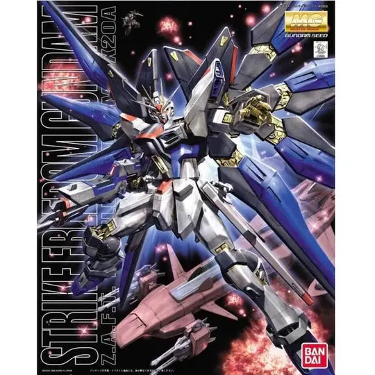 Mg 1/100 Strike Freedom Gundam 2