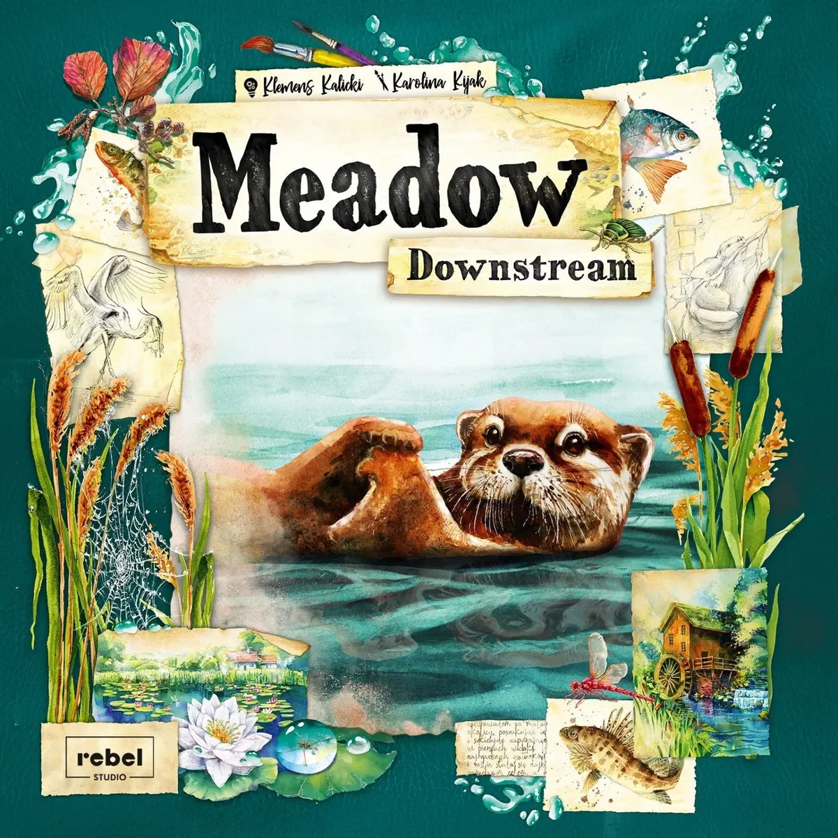 Asmodee Meadow Downstream Expansion Game 1