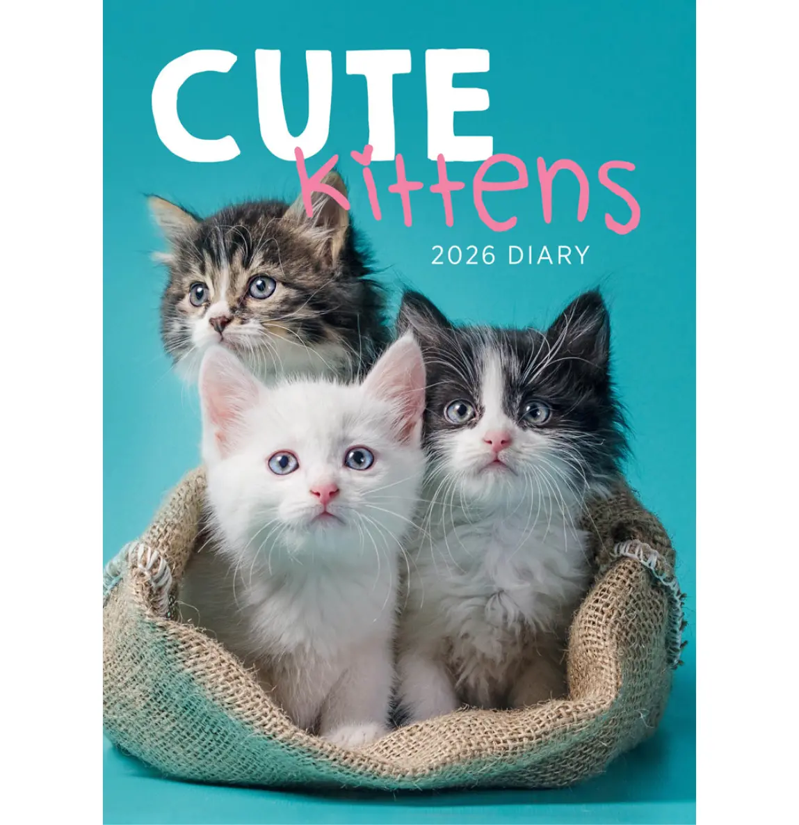 Paper Pocket Cute Kittens 2026 Diary 1