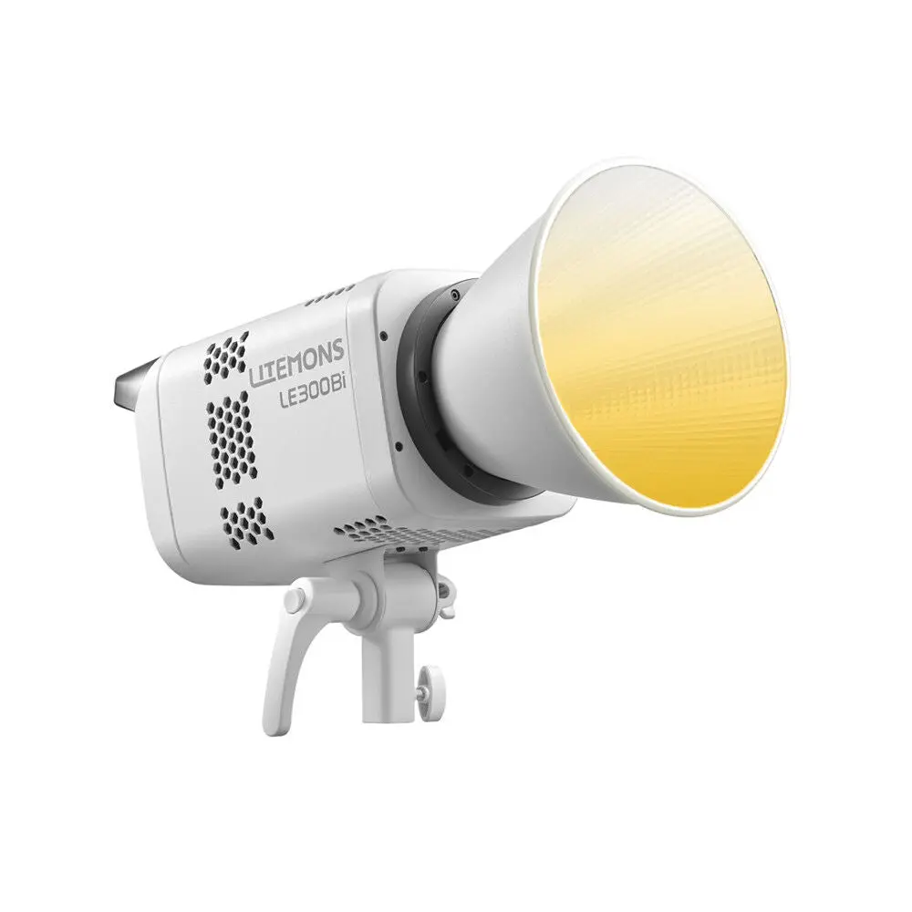 Godox Litemons Le300bi Bi-Color Led Monolight (White) 1