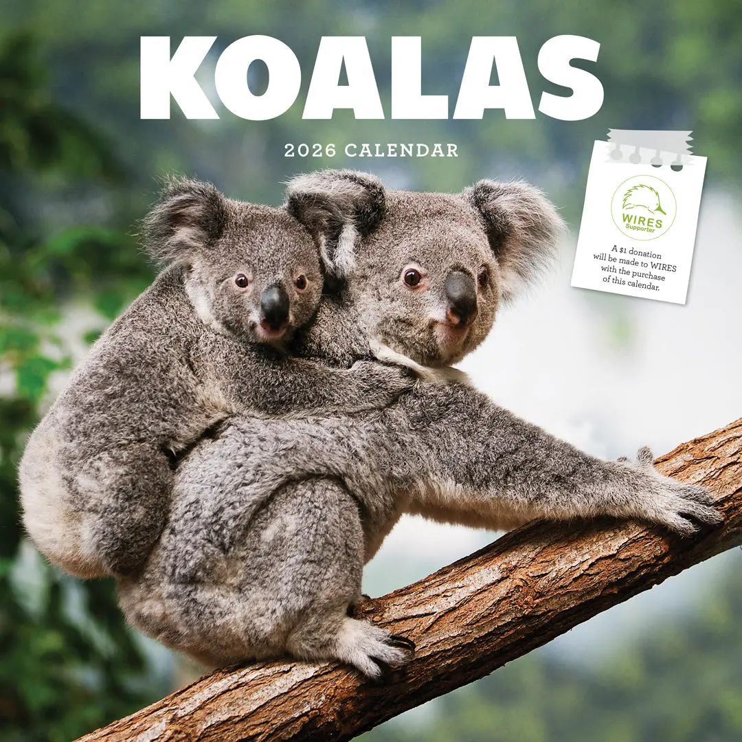 Paper Pocket Koalas 2026 Calendar 1