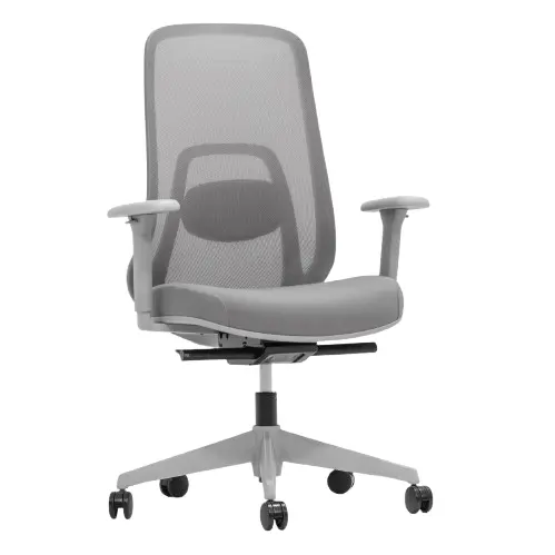 Desky Regal Mesh Office Chair - Mist Grey / No Headrest 1