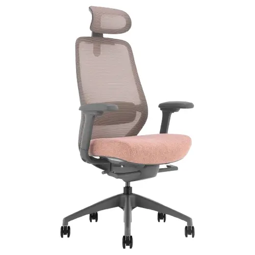 Desky Coilflex Ergonomic Office Chair - Peach/Grey / Headrest 1