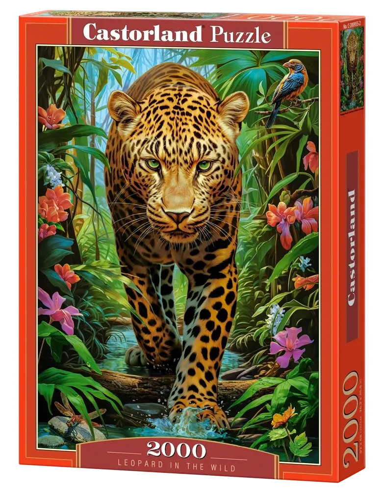 Castorland 2000-Pieces Leopard In The Wild Puzzle 1