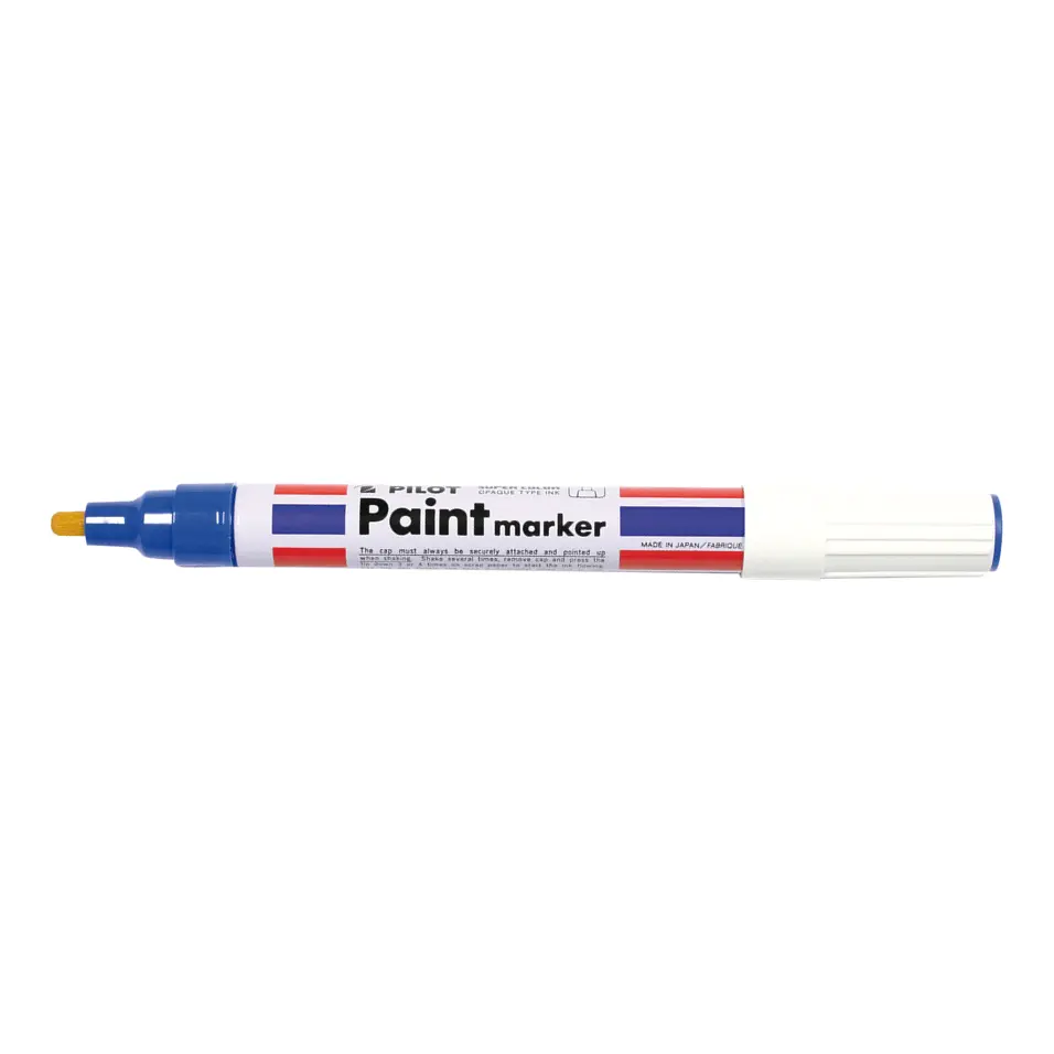Pilot Box 12 Super Colour Paint Marker 4.5Mm (Blue) 2
