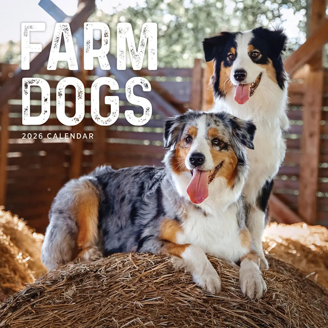Paper Pocket Farm Dogs 2026 Calendar 1