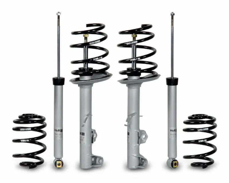 H&R Sport Cup Lowering Spring Kit For 1992–1998 Bmw E36 318I / 318Is – Non-Cabrio Models Only 1